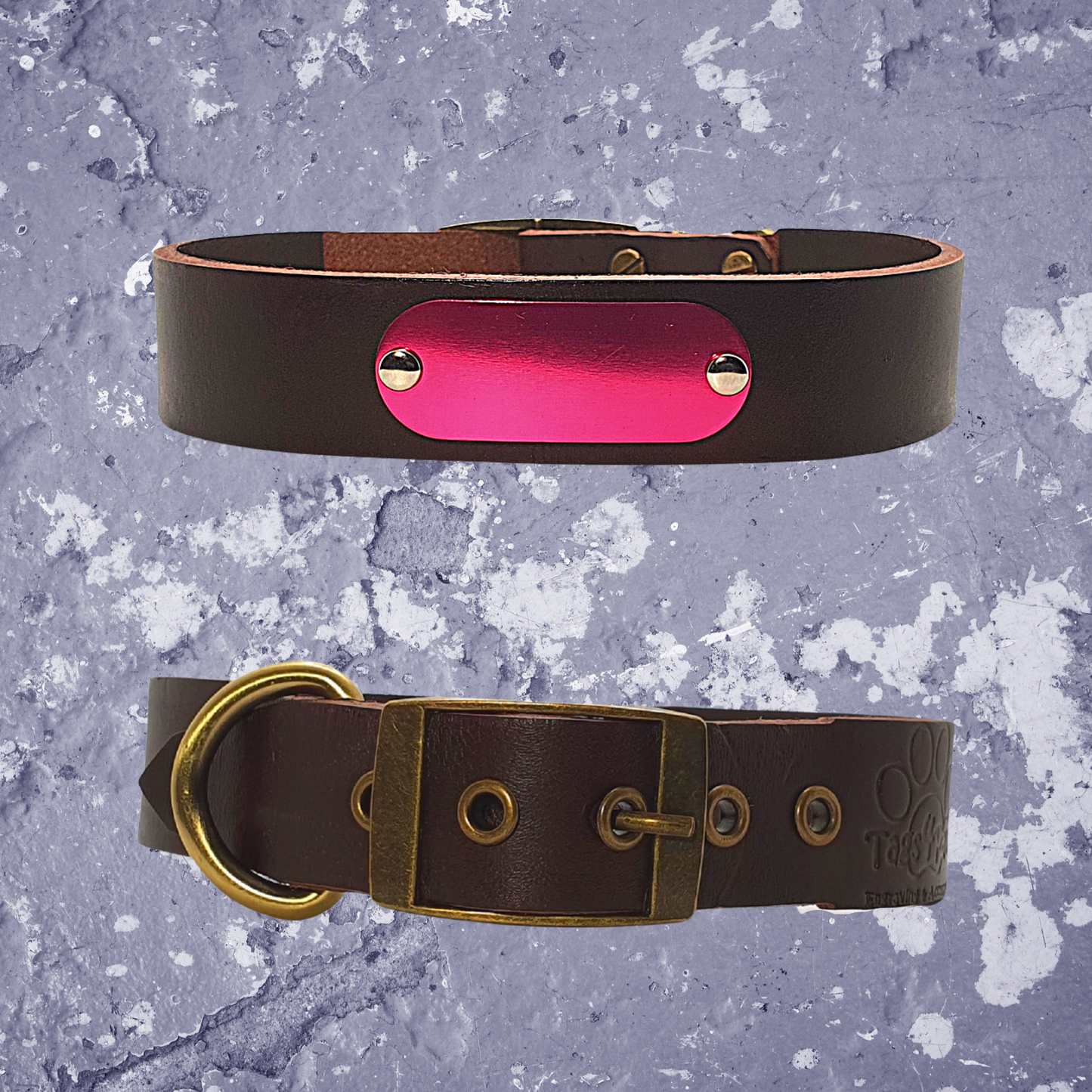 Leather Collar Coffee with Name Plate