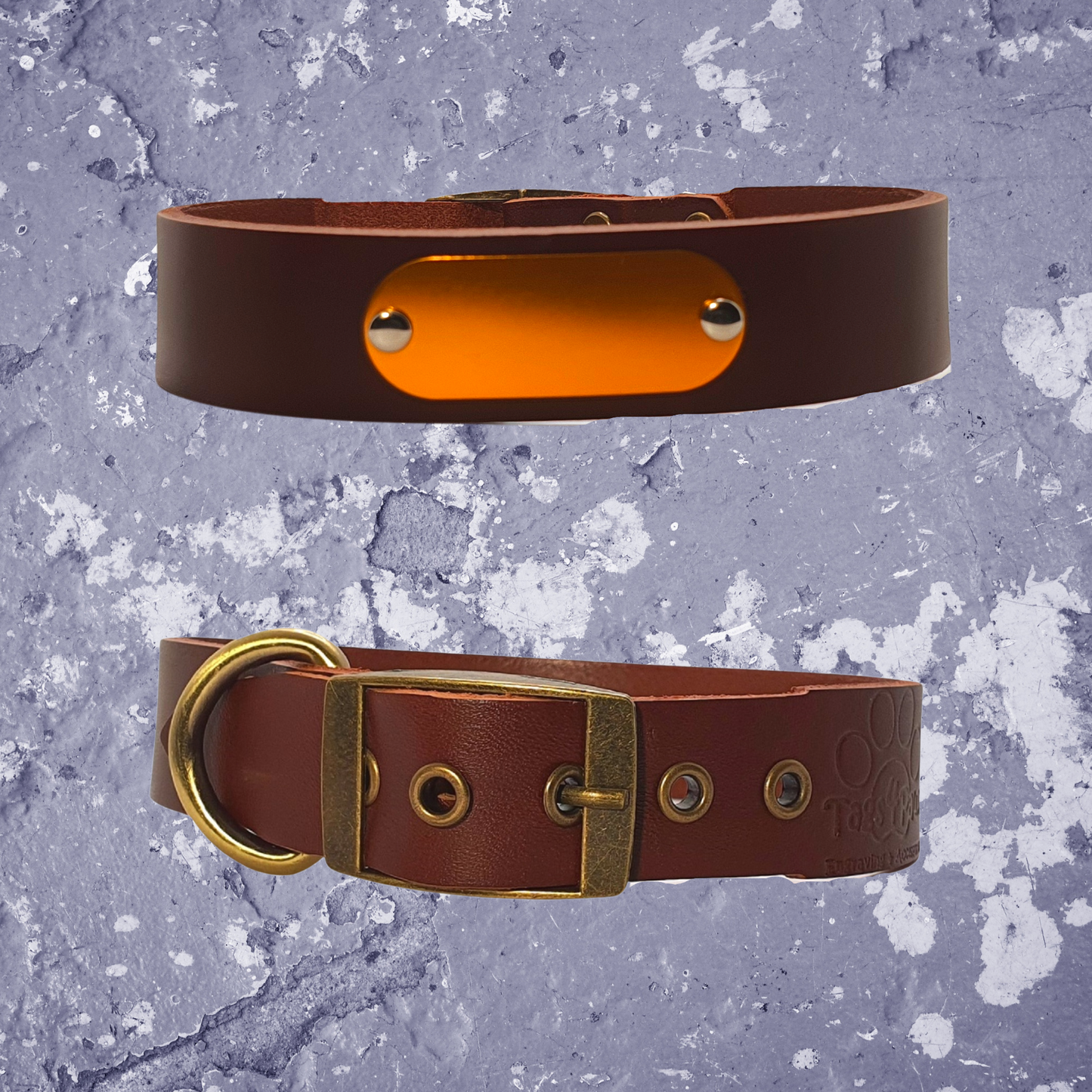 Leather Collar Brown with Name Plate