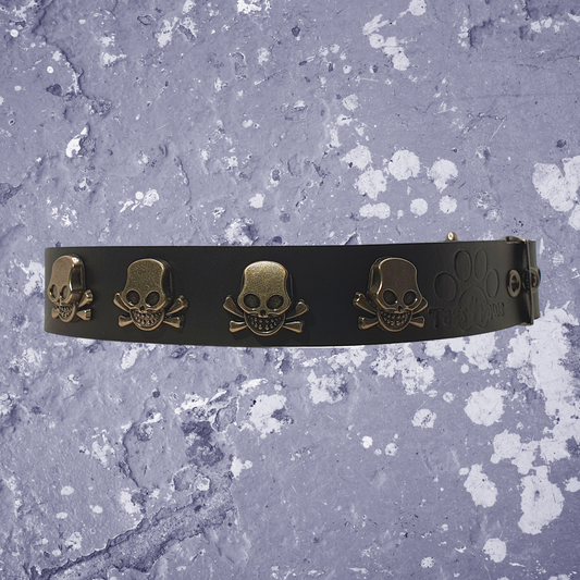 Leather Collar with Gun Metal Skulls