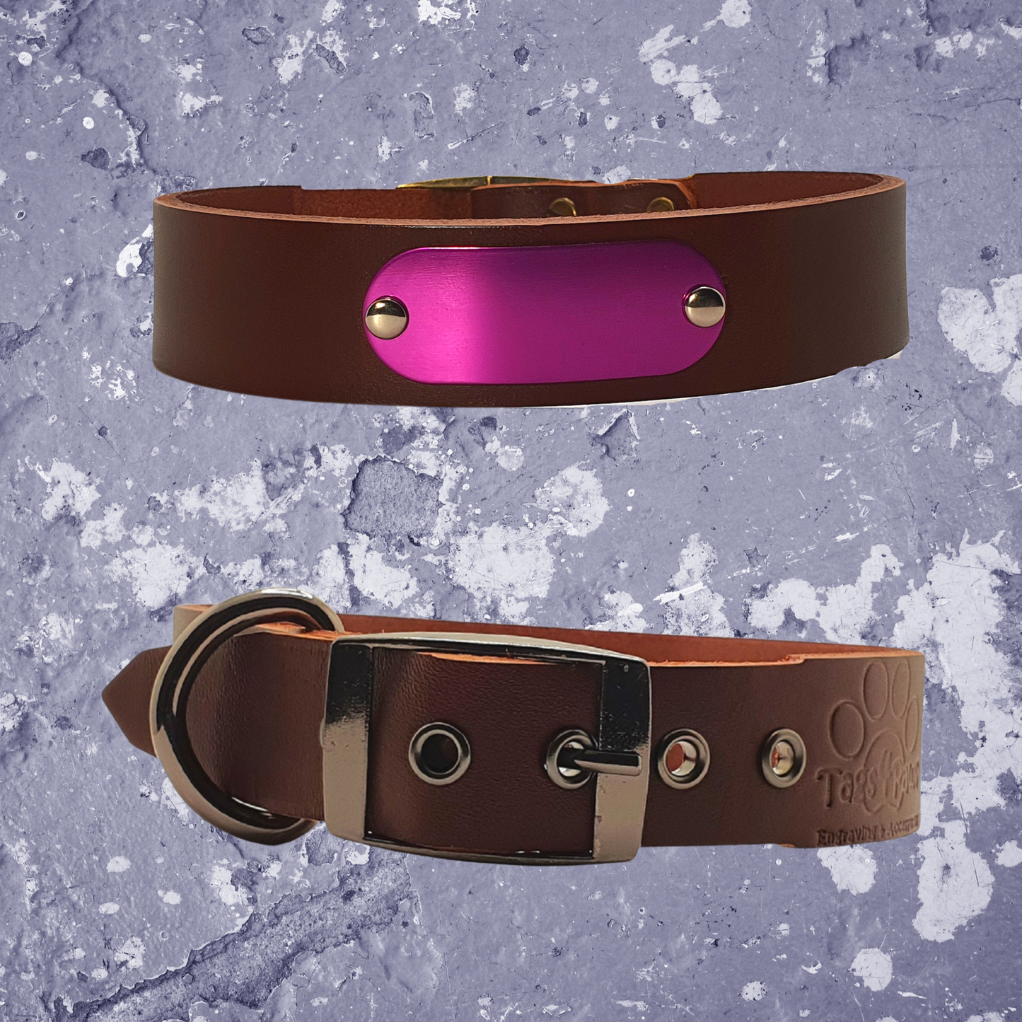 Leather Collar Brown with Name Plate