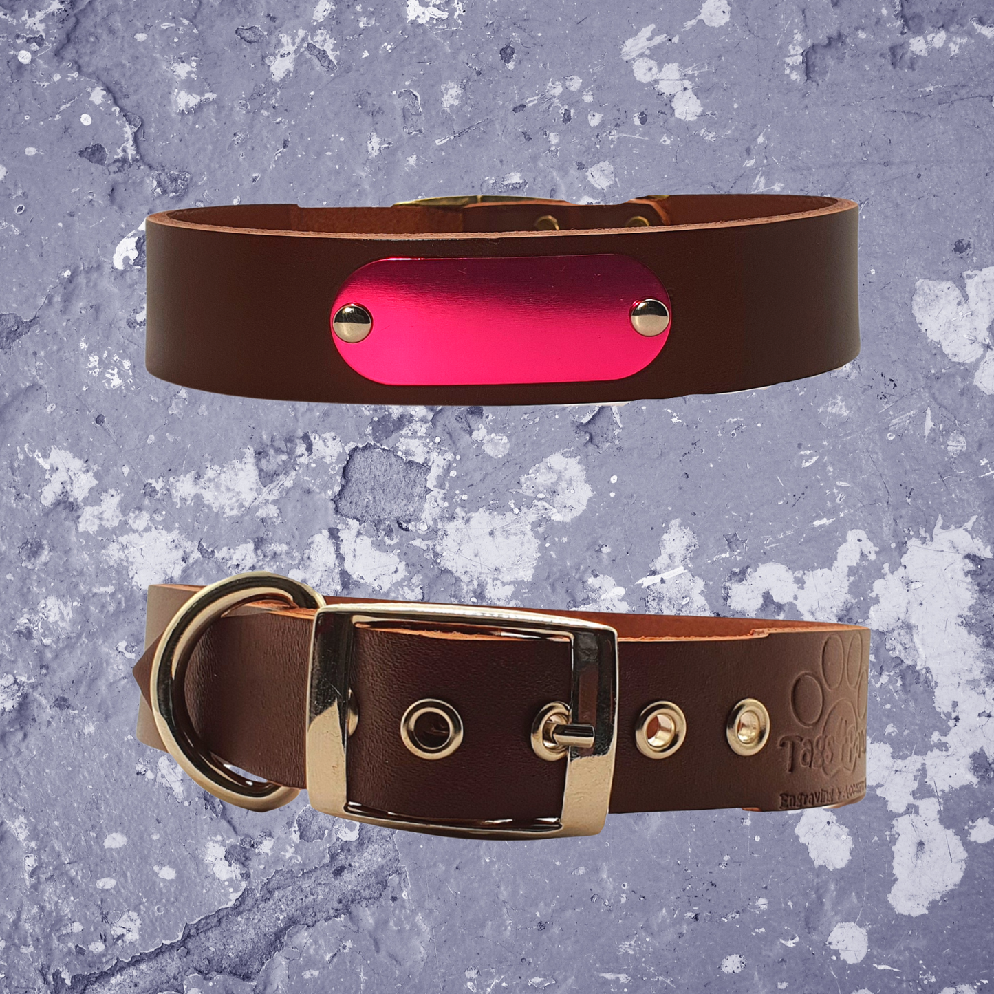 Leather Collar Brown with Name Plate