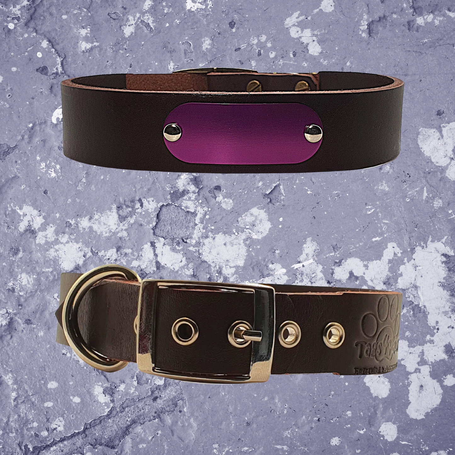 Leather Collar Coffee with Name Plate