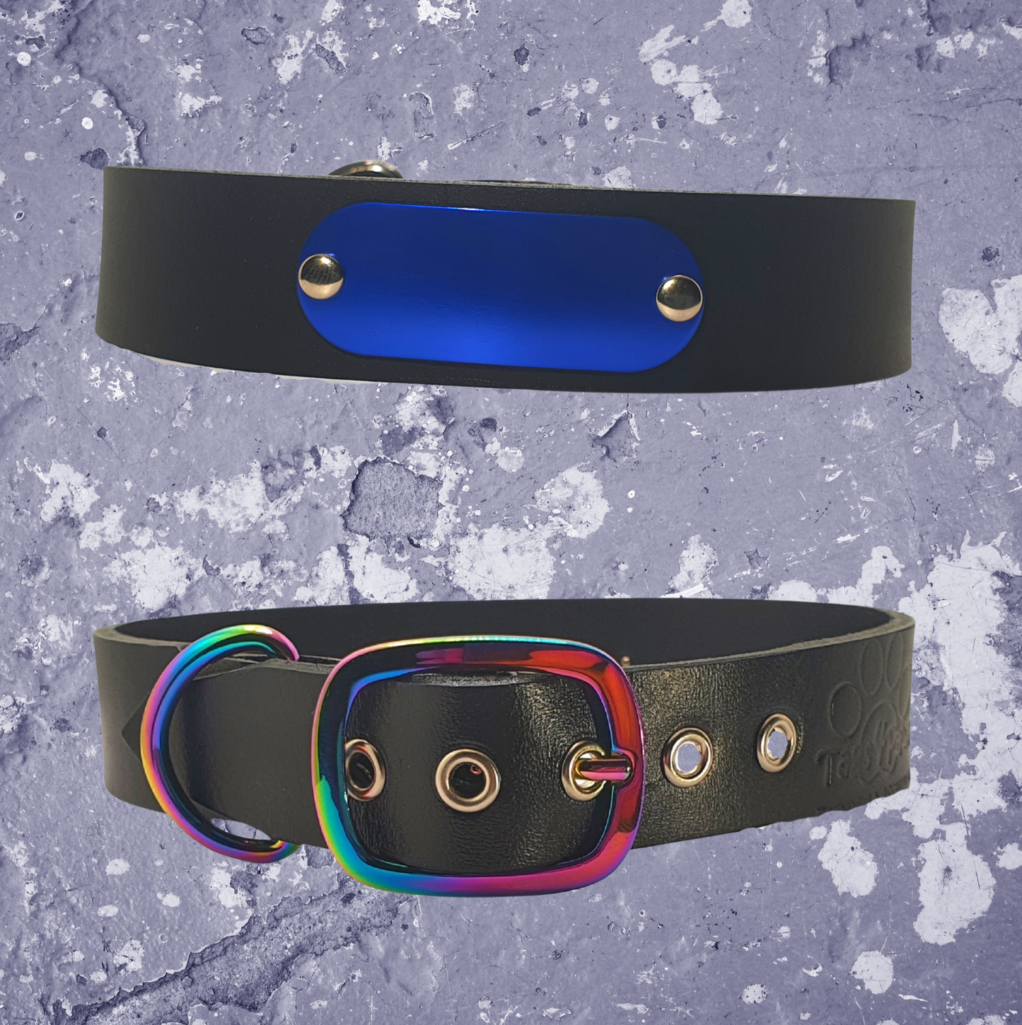 Rainbow & Black Leather Collar with Name Plate