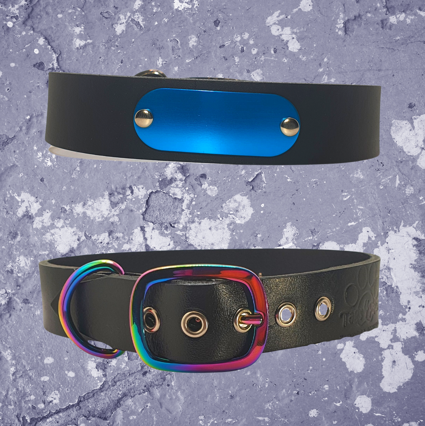 Rainbow & Black Leather Collar with Name Plate