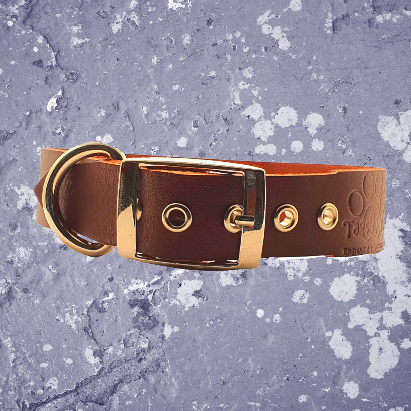 Leather Collar Brown with Name Plate