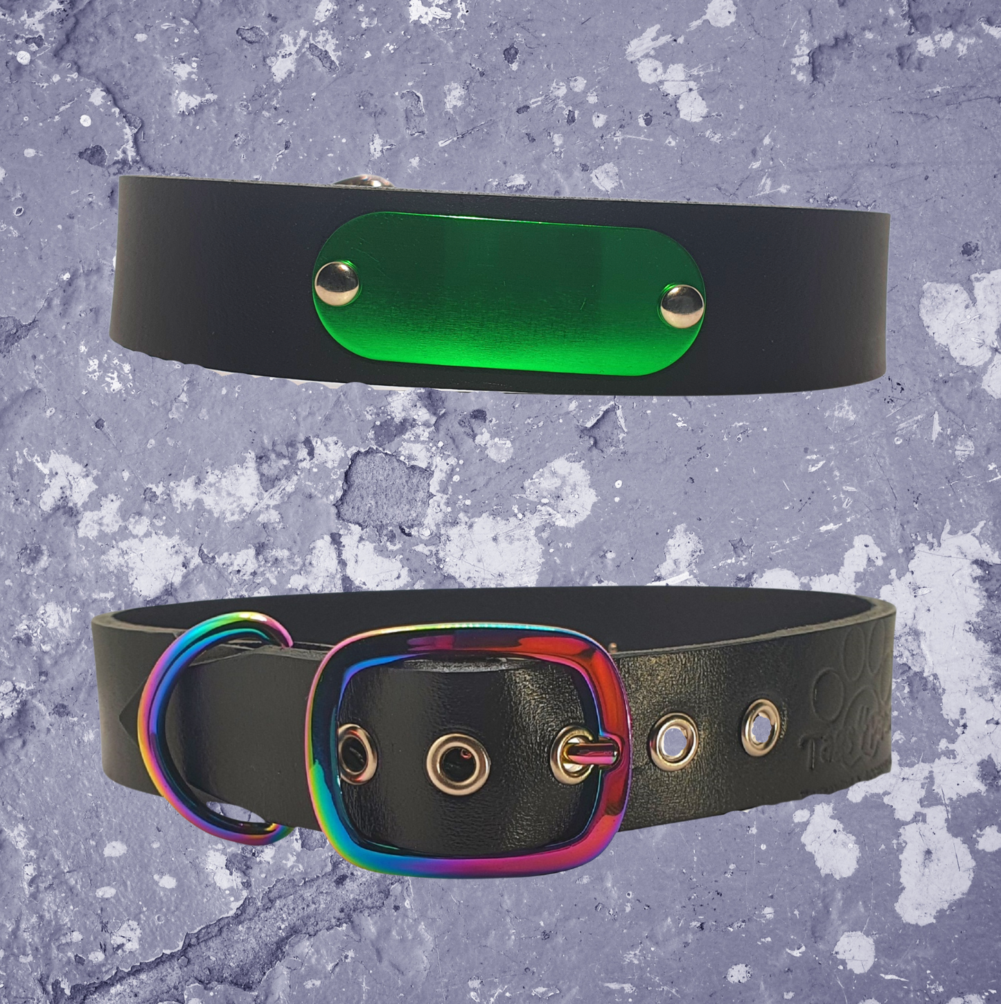 Rainbow & Black Leather Collar with Name Plate