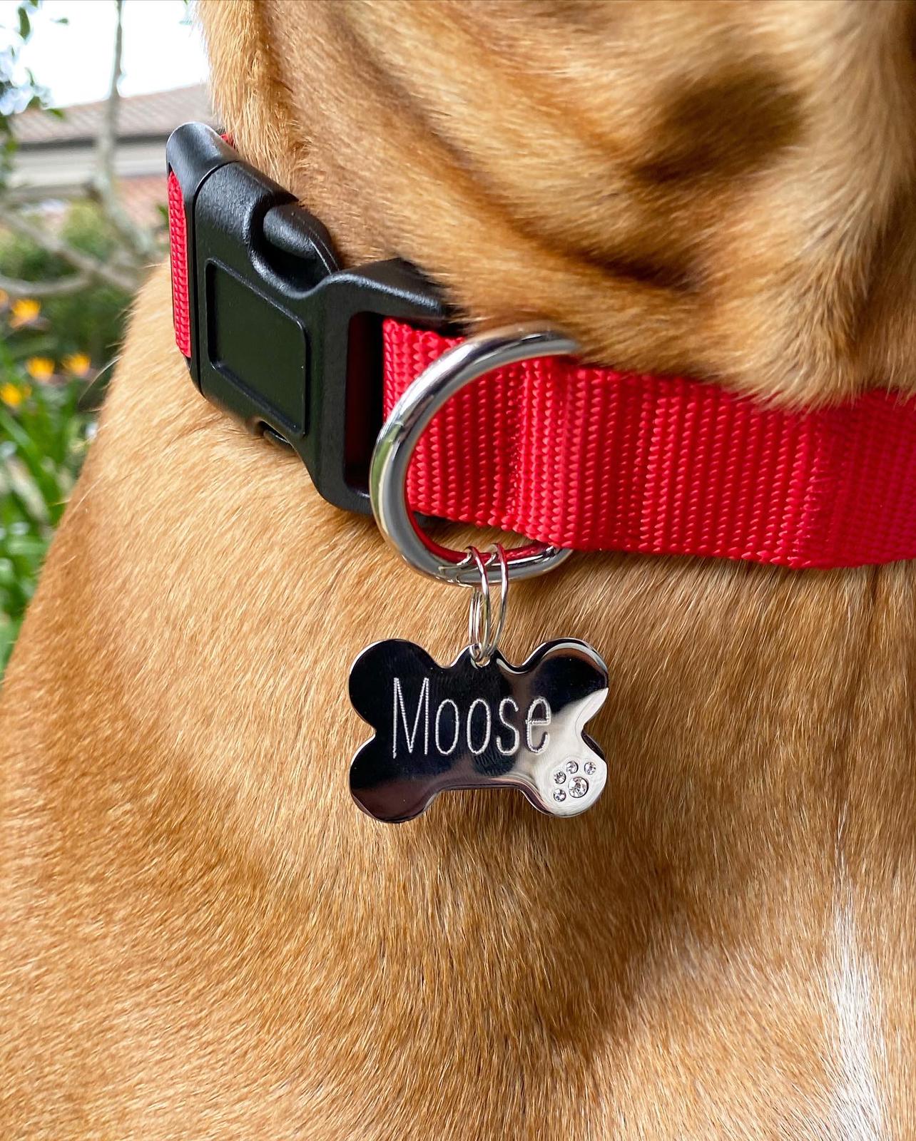 Bone Bling Paw Tags Stainless Steel