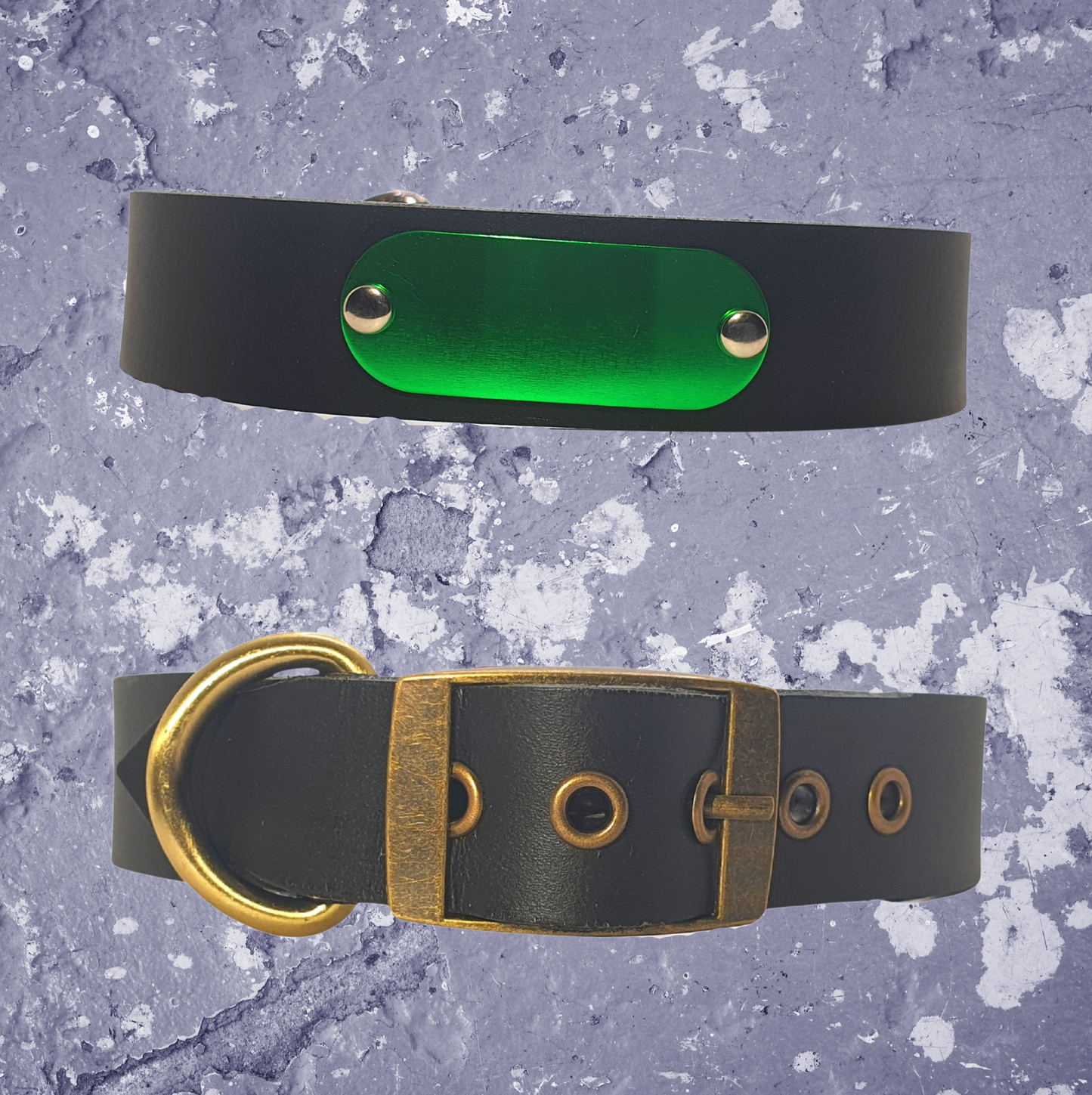 Leather Collar Black with Name Plate