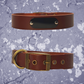 Leather Collar Brown with Name Plate