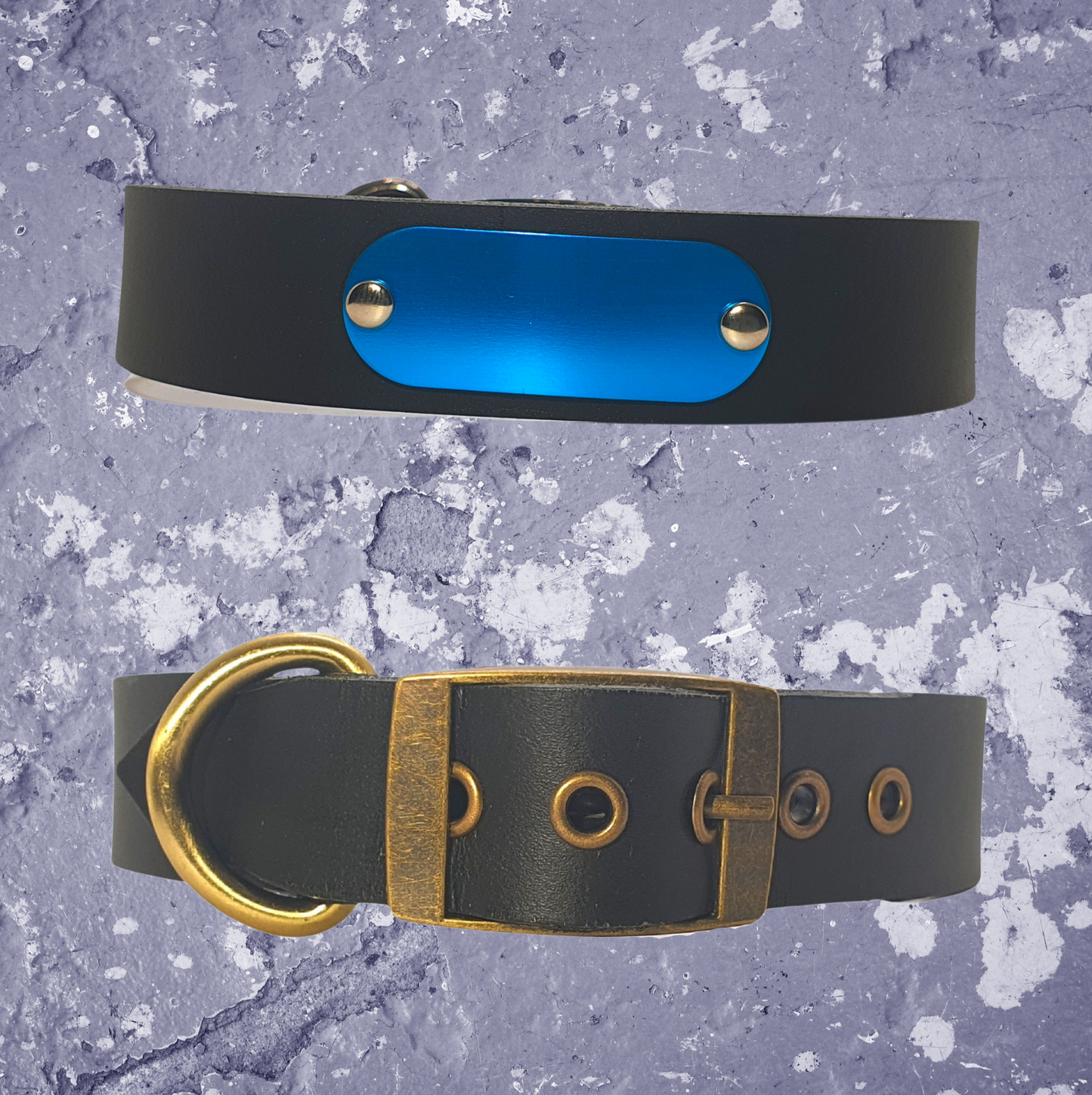 Leather Collar Black with Name Plate