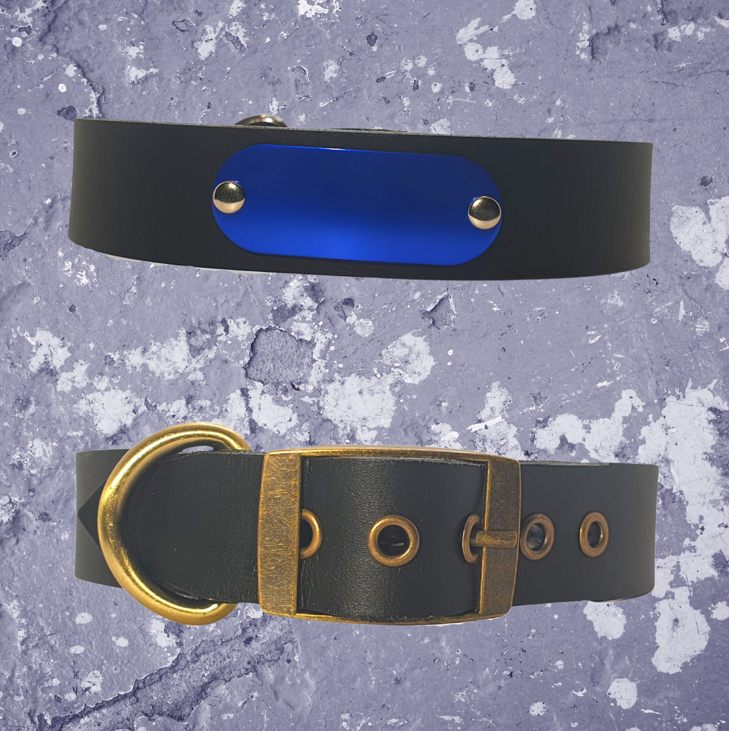 Leather Collar Black with Name Plate