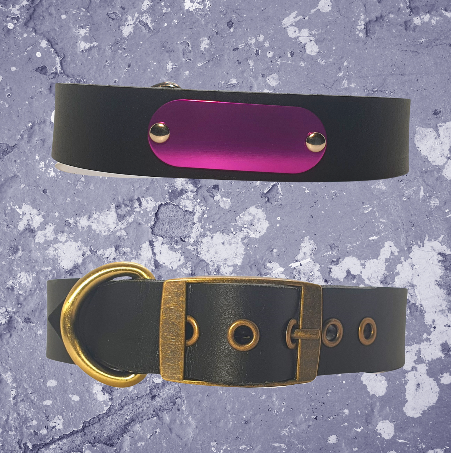 Leather Collar Black with Name Plate