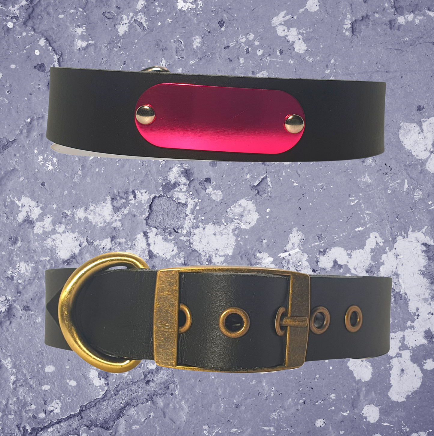 Leather Collar Black with Name Plate