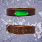 Leather Collar Brown with Name Plate