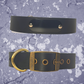 Leather Collar Black with Name Plate