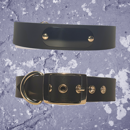 Leather Collar Black with Name Plate