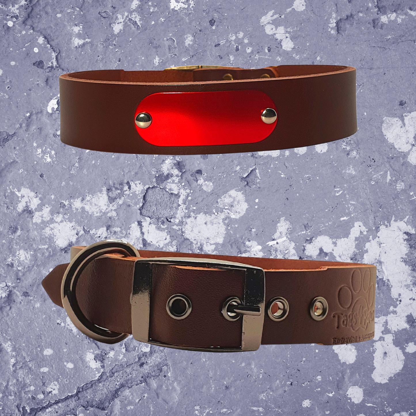 Leather Collar Brown with Name Plate