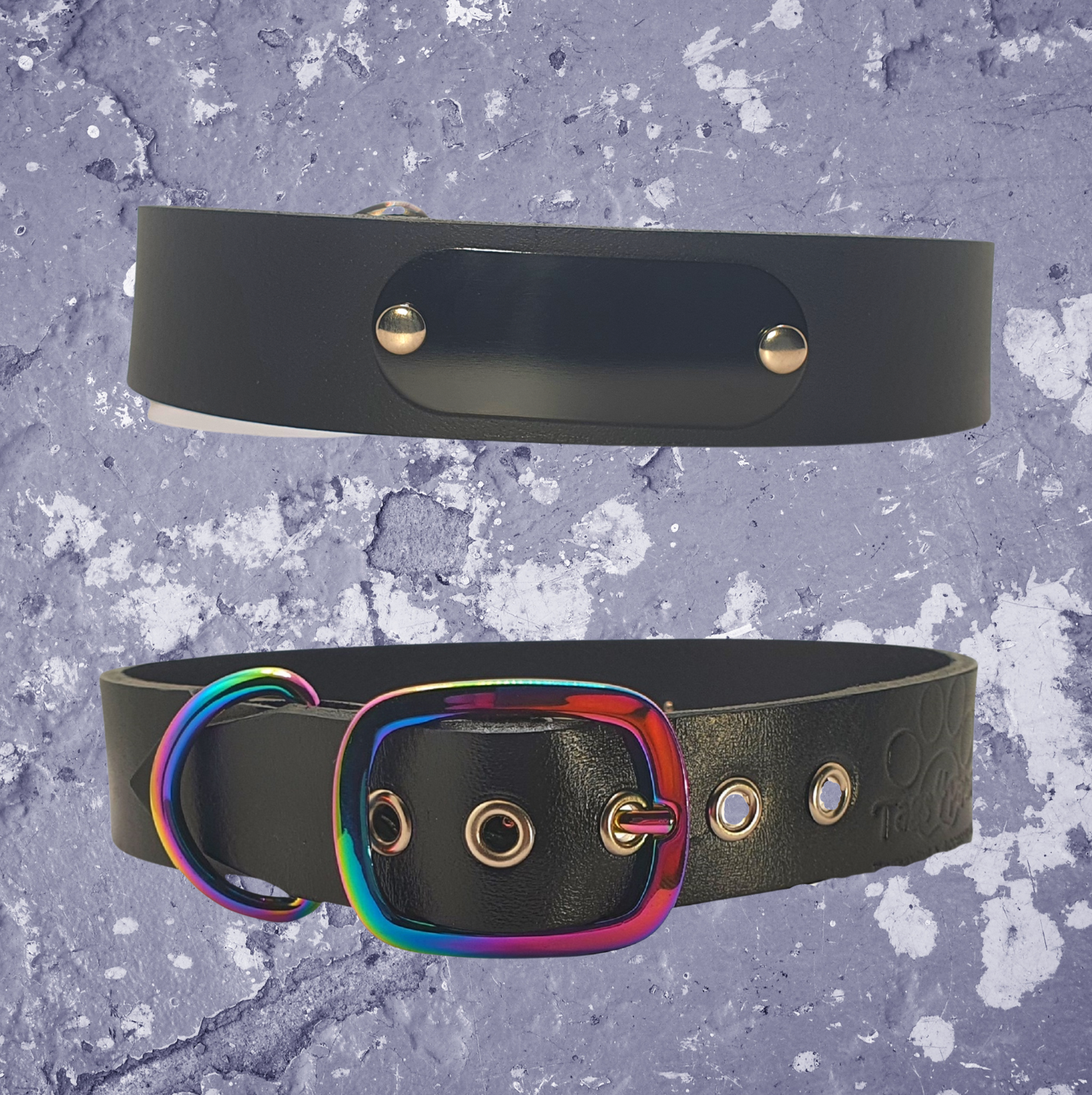 Rainbow & Black Leather Collar with Name Plate