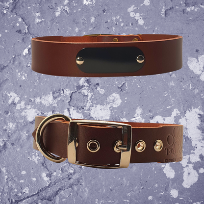 Leather Collar Brown with Name Plate