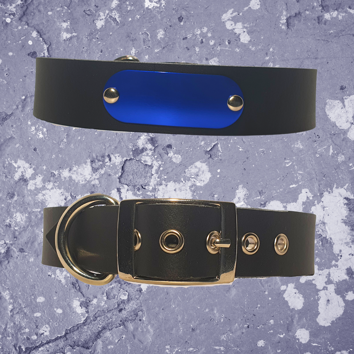 Leather Collar Black with Name Plate