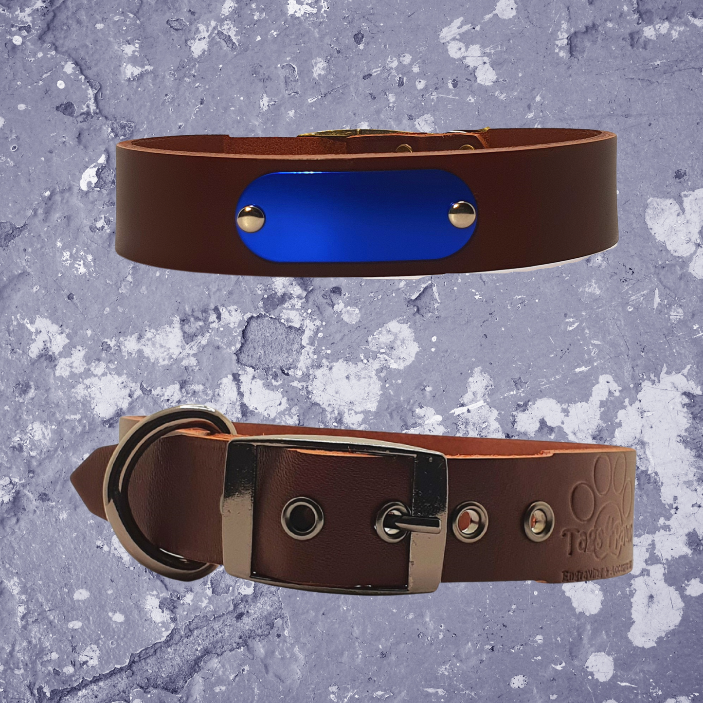 Leather Collar Brown with Name Plate