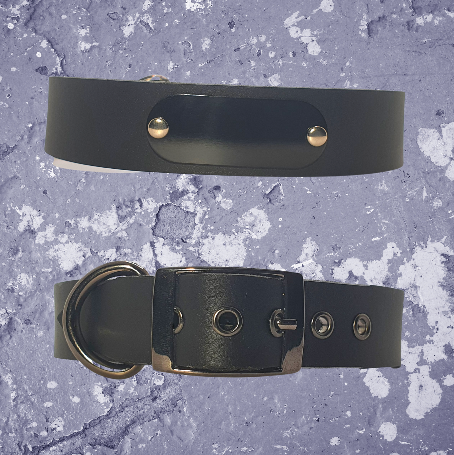 Leather Collar Black with Name Plate