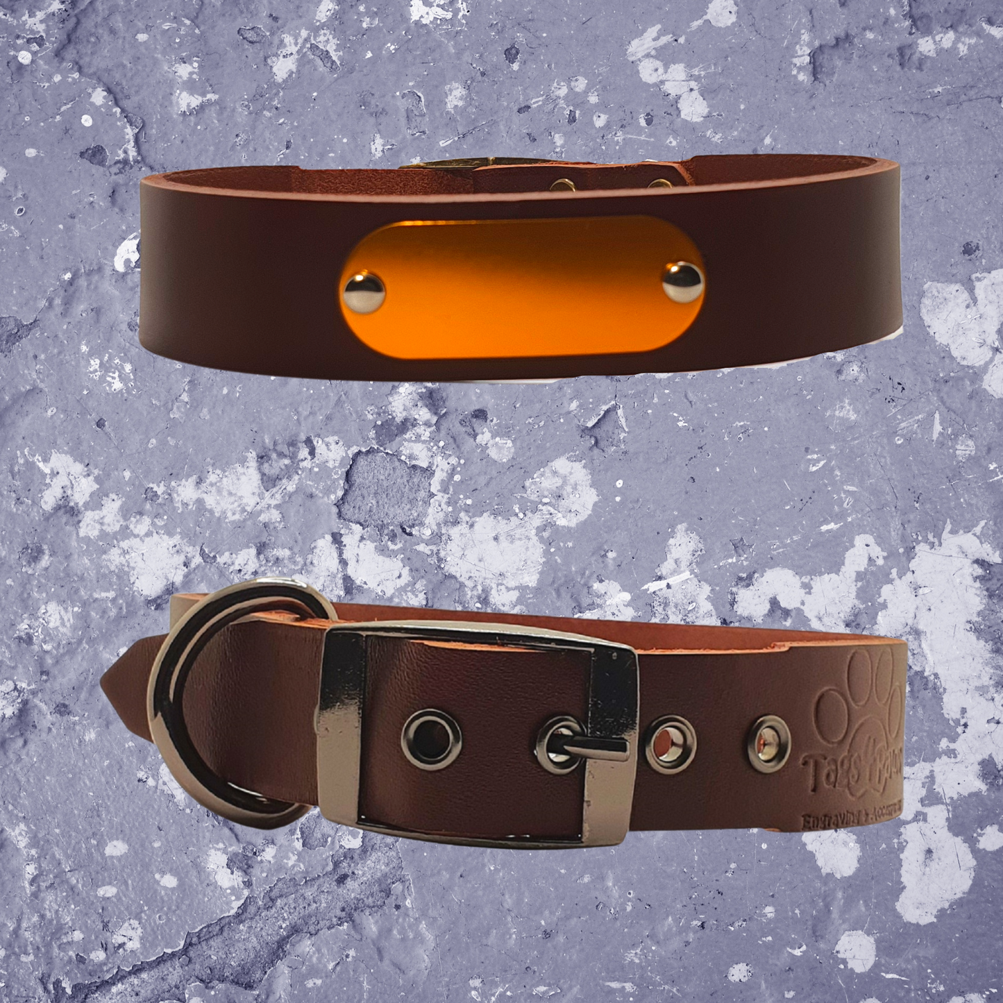 Leather Collar Brown with Name Plate