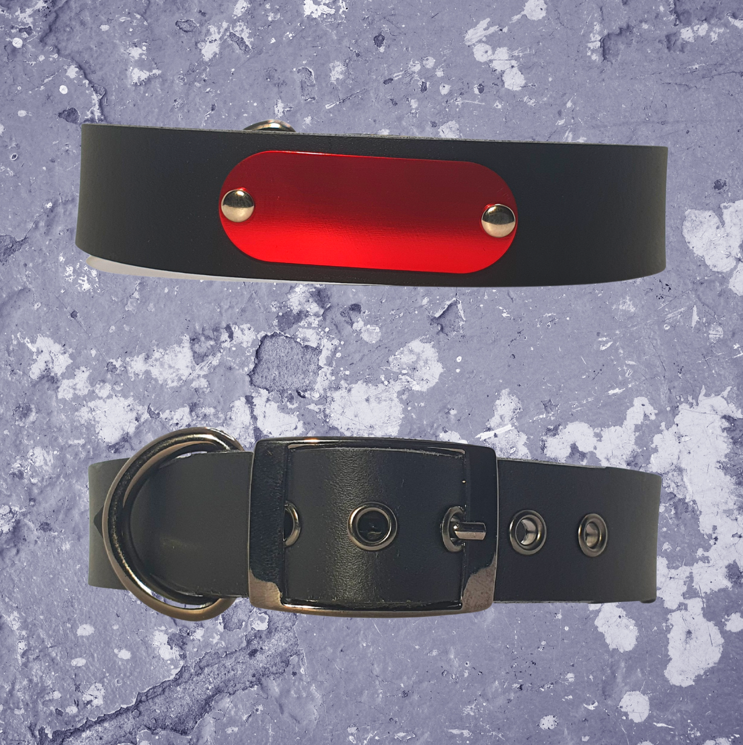 Leather Collar Black with Name Plate