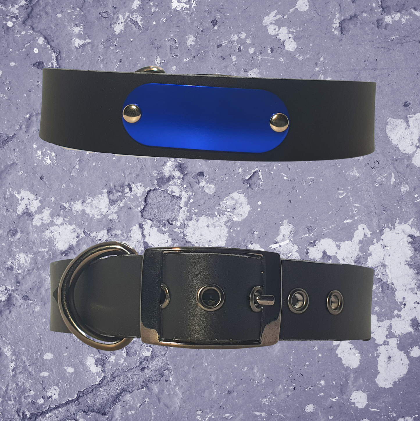 Leather Collar Black with Name Plate