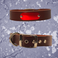 Leather Collar Brown with Name Plate