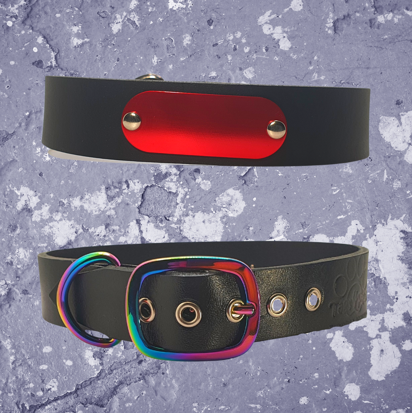 Rainbow & Black Leather Collar with Name Plate