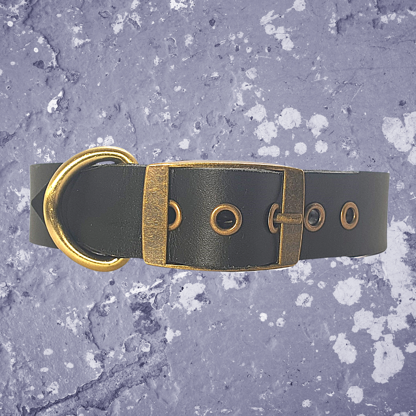 Leather Collar Black with Name Plate