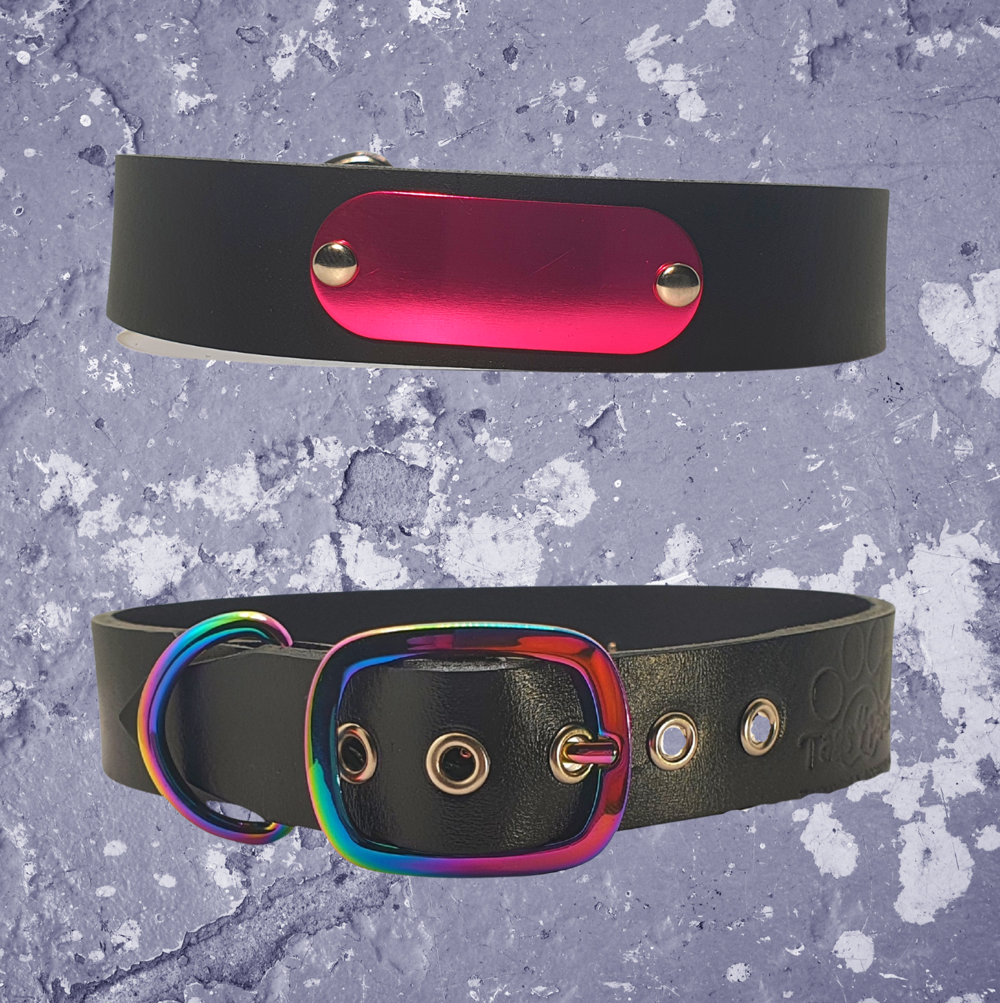 Rainbow & Black Leather Collar with Name Plate