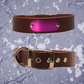 Leather Collar Brown with Name Plate