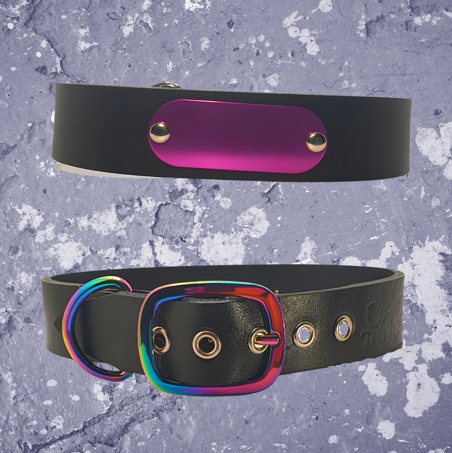 Rainbow & Black Leather Collar with Name Plate