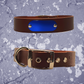 Leather Collar Brown with Name Plate