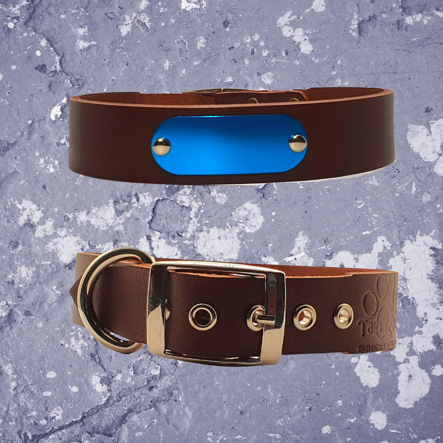 Leather Collar Brown with Name Plate