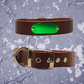 Leather Collar Brown with Name Plate