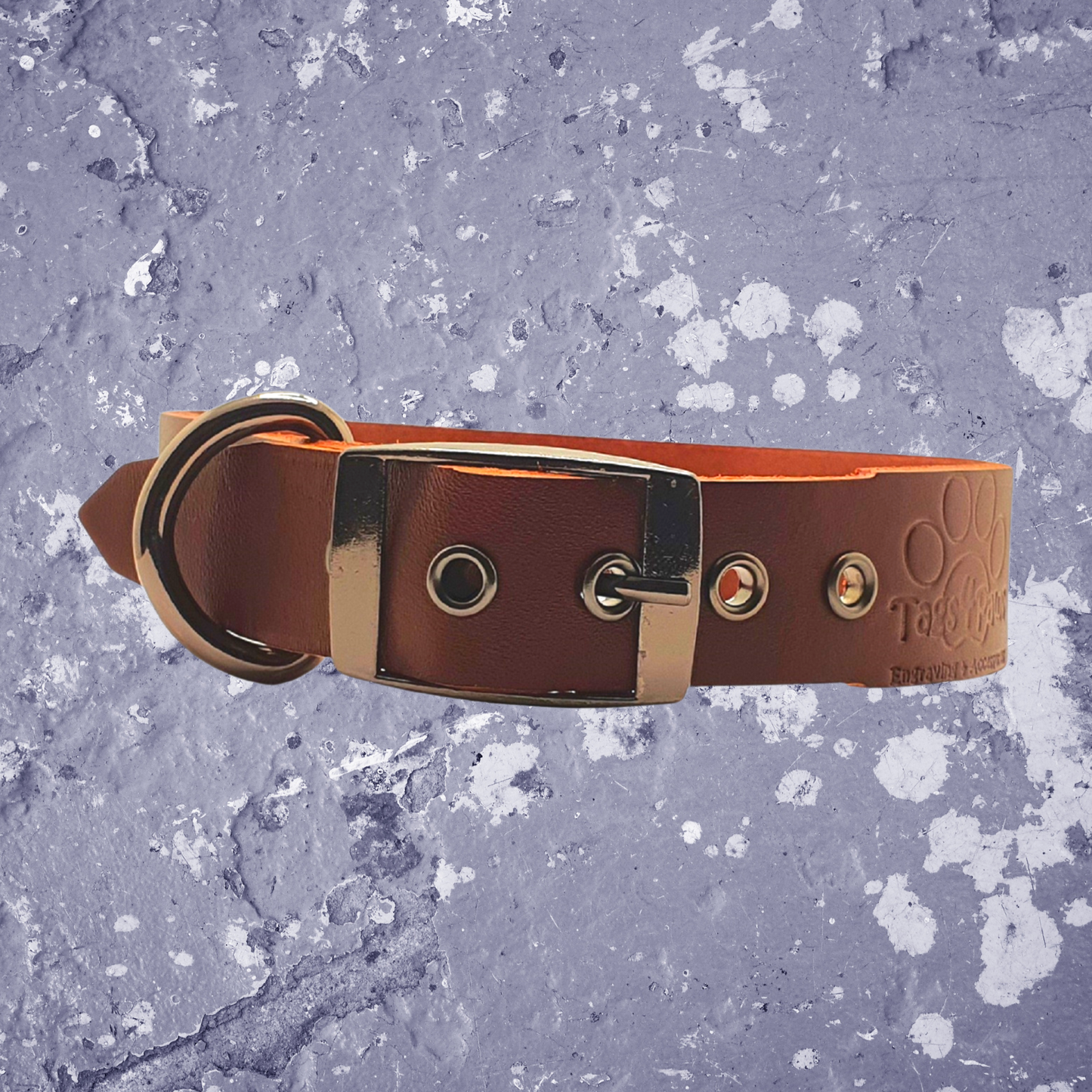 Leather Collar Brown with Name Plate