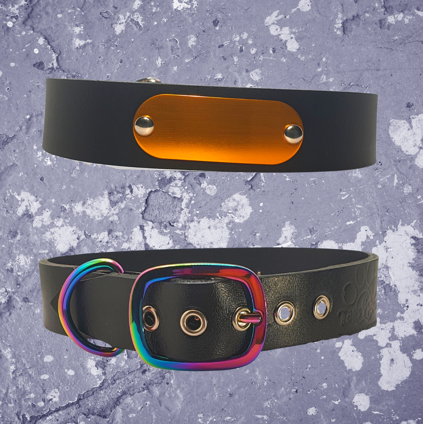 Rainbow & Black Leather Collar with Name Plate