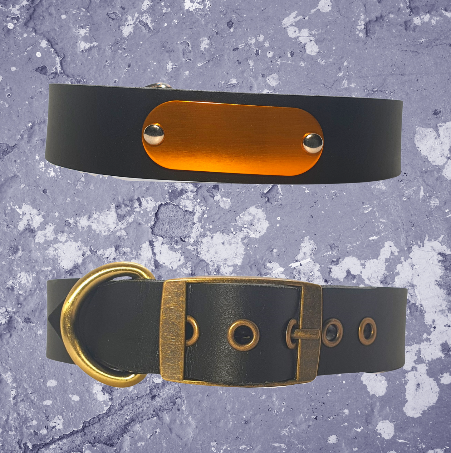 Leather Collar Black with Name Plate