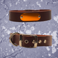 Leather Collar Brown with Name Plate