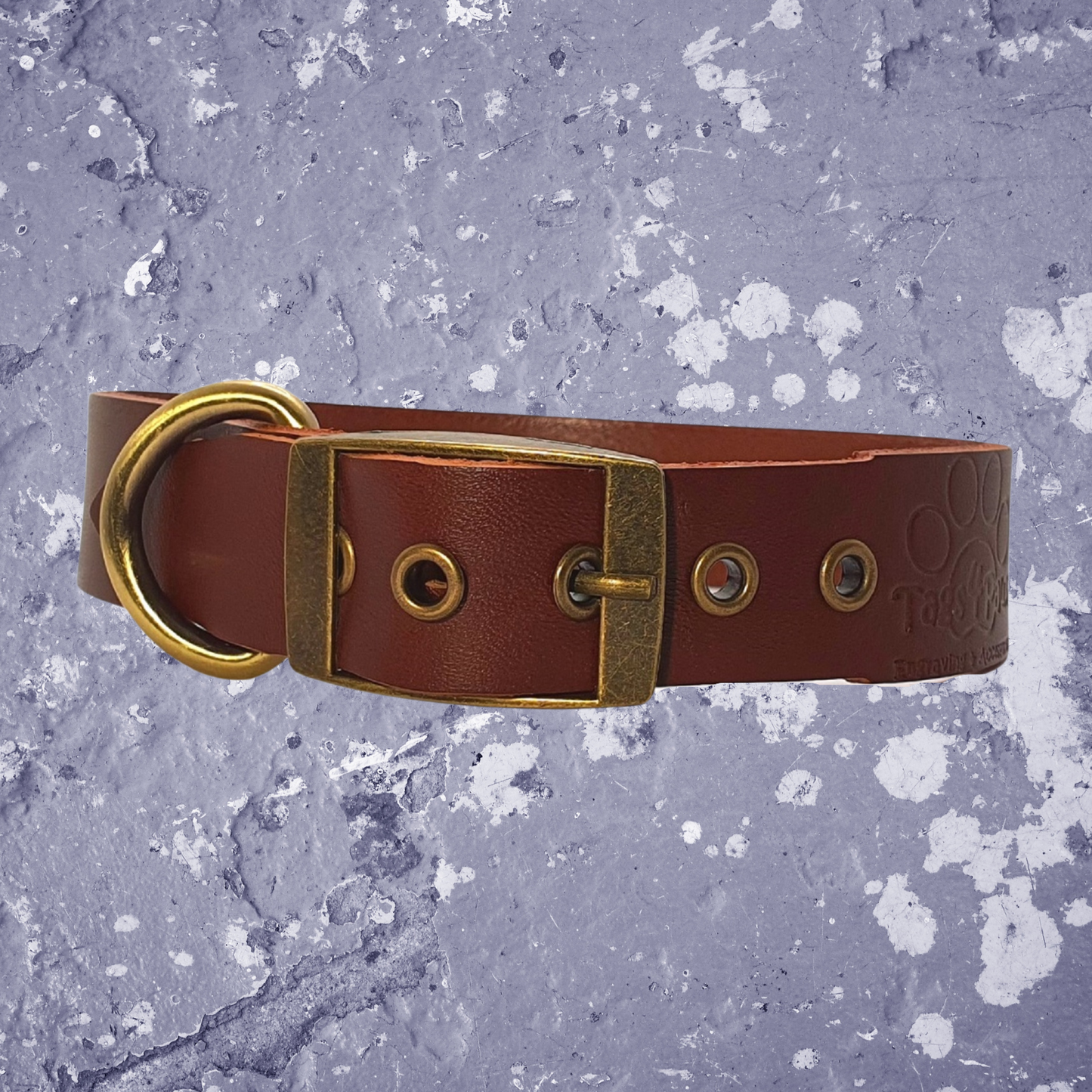 Leather Collar Brown with Name Plate