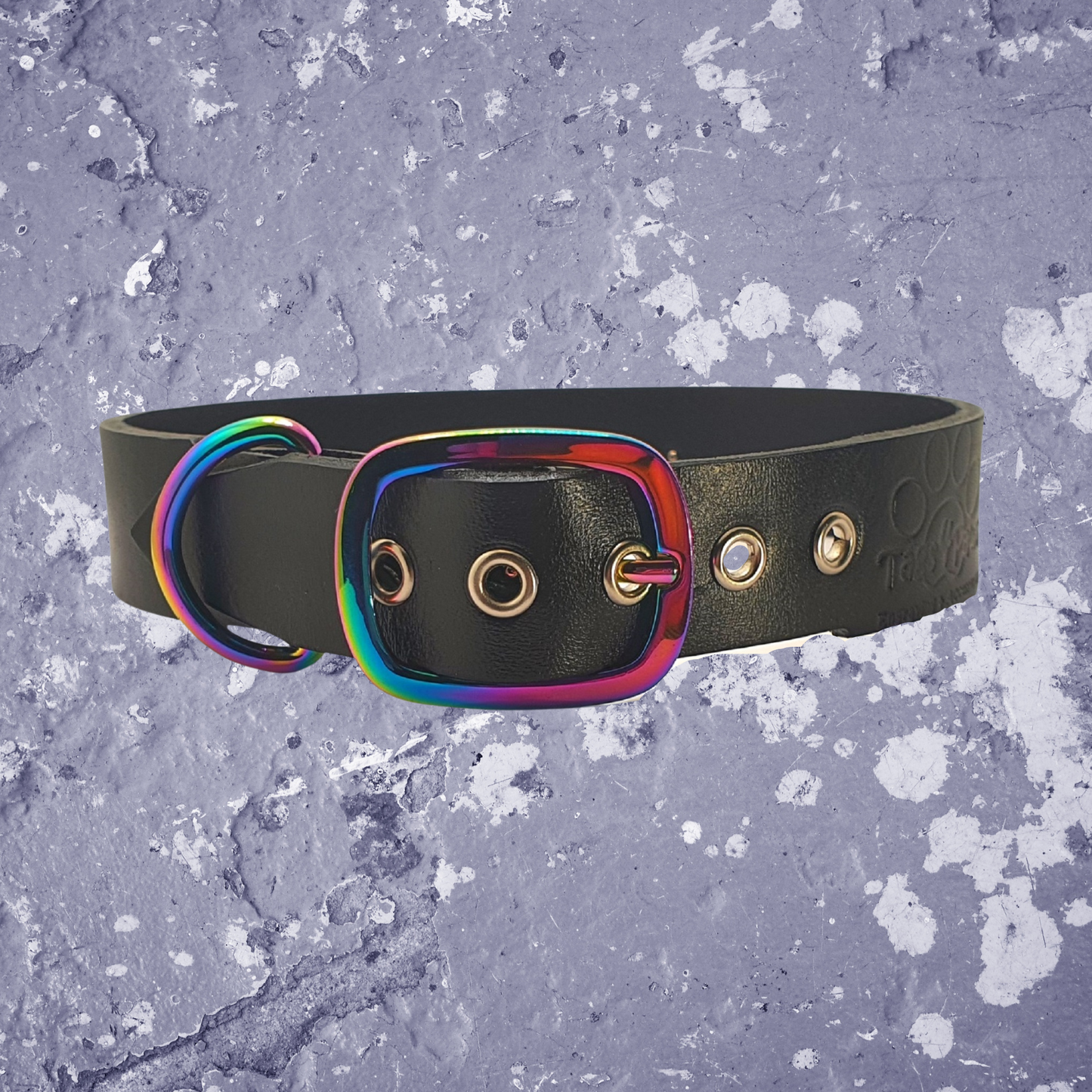 Rainbow & Black Leather Collar with Name Plate